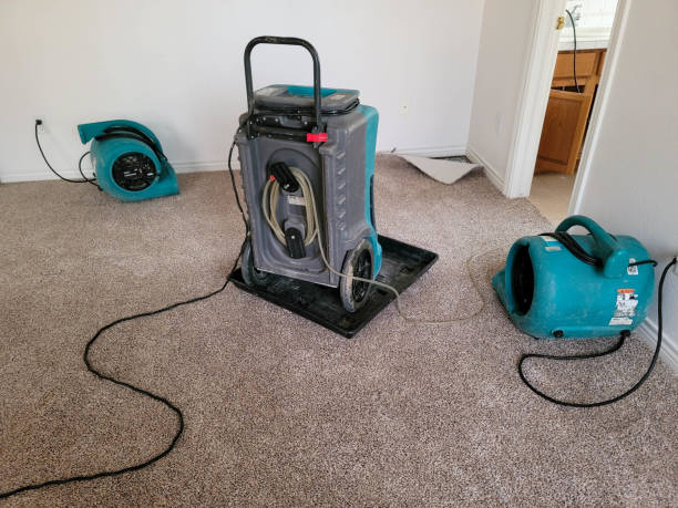  Chatham, VA Water damage restoration Pros