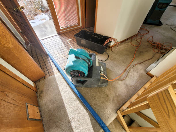 Best Basement water damage restoration  in Chatham, VA