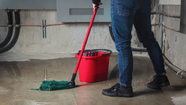 Best Water damage restoration near me  in Chatham, VA