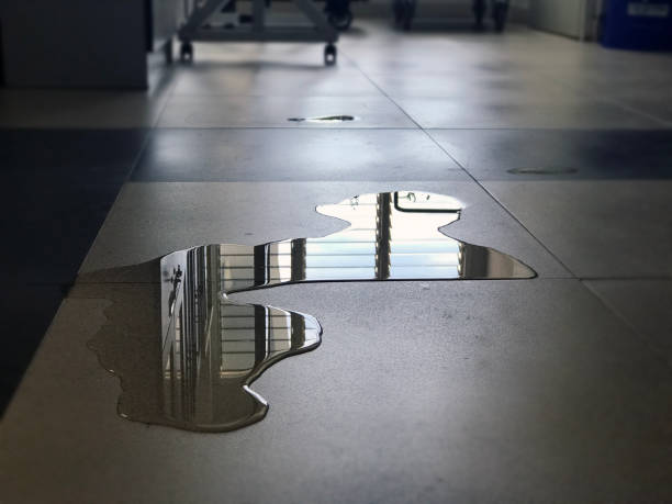 Best Water damage contractors near me  in Chatham, VA