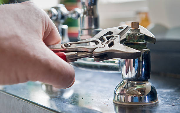 Best Mold removal after water damage  in Chatham, VA