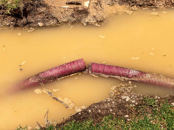 Best Water damage restoration near me  in Chatham, VA